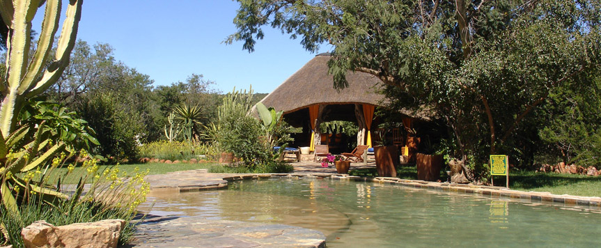 Piscine à Ant's Hill